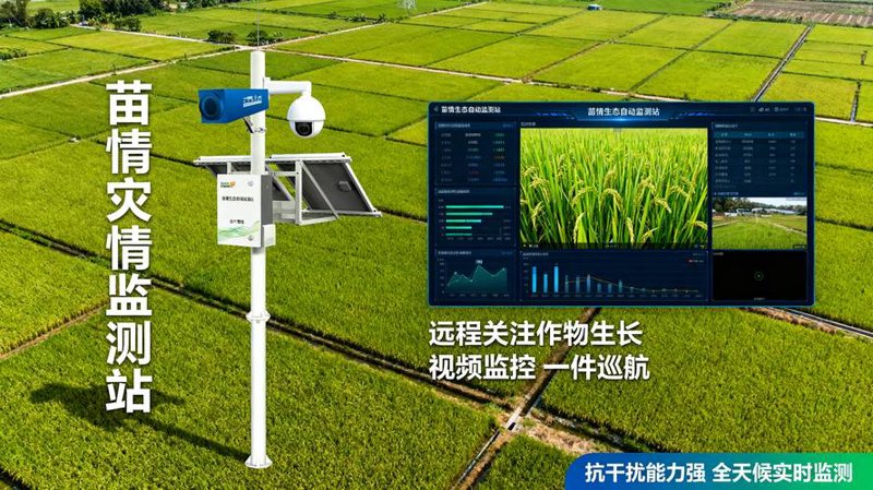 农业信息化系统:现代农业的智慧升级